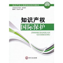 知識產權國際保護 全球化背景下的挑戰與應對