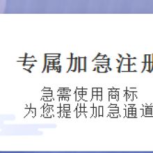 知識(shí)產(chǎn)權(quán)代理服務(wù) 石家莊品良的專(zhuān)業(yè)供應(yīng)產(chǎn)品