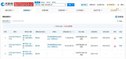 羅永浩名下錘子科技再收限消令 基礎(chǔ)軟件服務面臨挑戰(zhàn)